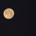 Full Pink Moon, Houston