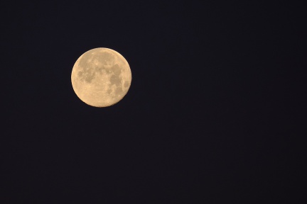 Full Pink Moon, Houston