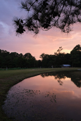 Sunset over Davy Crockett Forest, East Texas