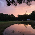 Sunset over Davy Crockett Forest, East Texas