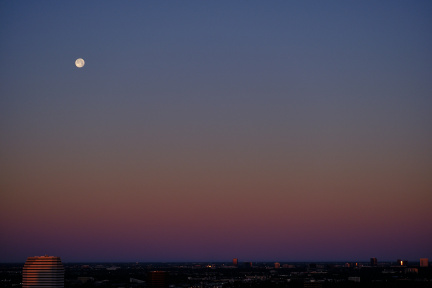 Pink Moon, Houston