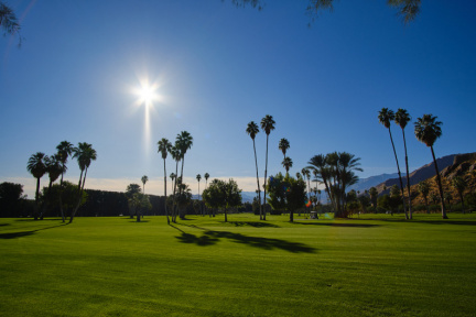 Golf course, Palm Springs