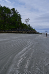 Beach, Tofino, Vancouver Island