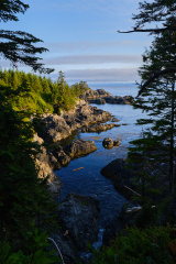 Wild Pacific Trail, Ucluelet, Vancouver Island