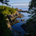 Wild Pacific Trail, Ucluelet, Vancouver Island