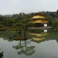 Kinkaku-ji (Temple of the Golden Pavilion), Kyoto