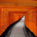  Fushimi Inari-taisha, Fushimi-ku, Kyoto